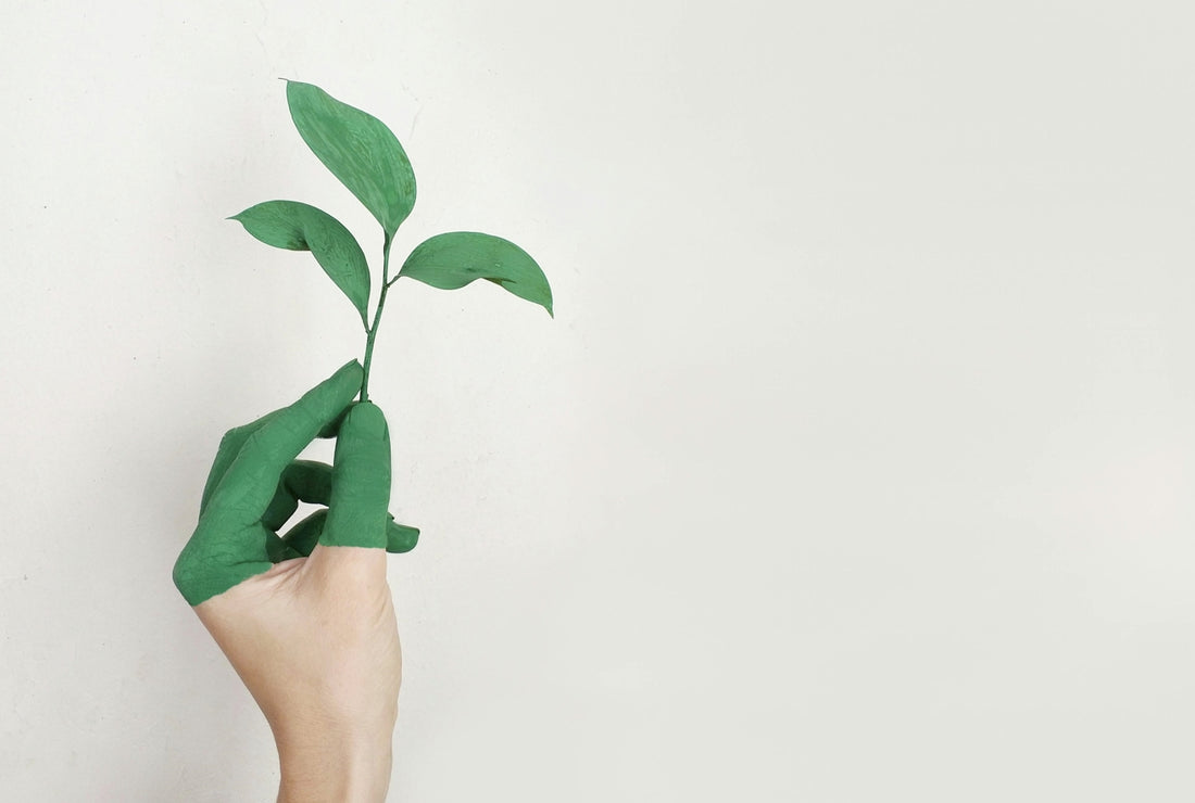 Wooden Hangers and the Environment
