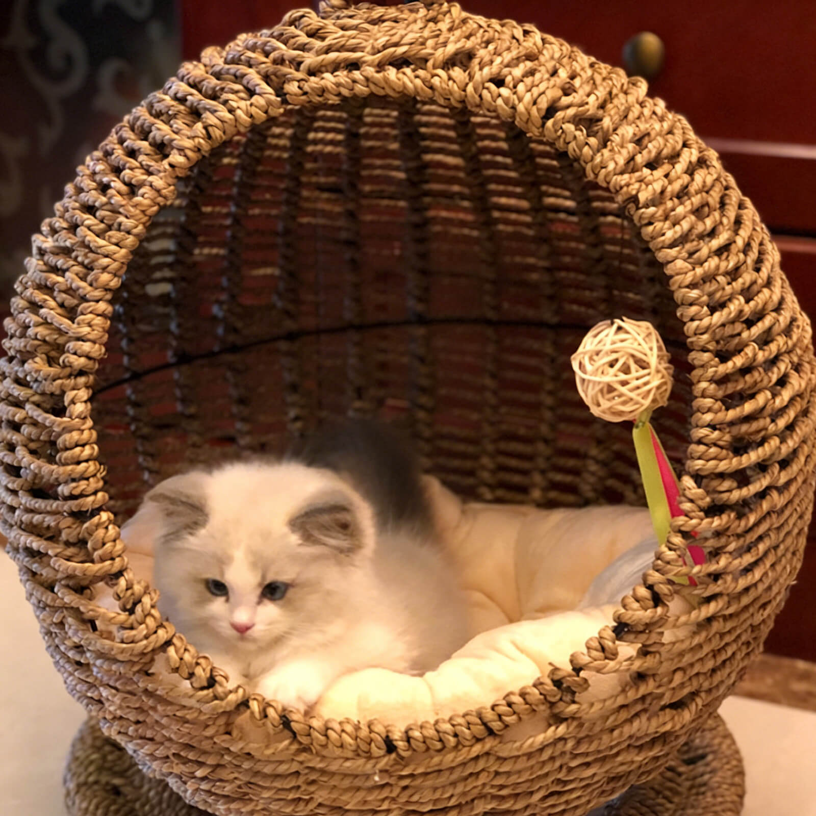 Floor-protecting-cat-stand