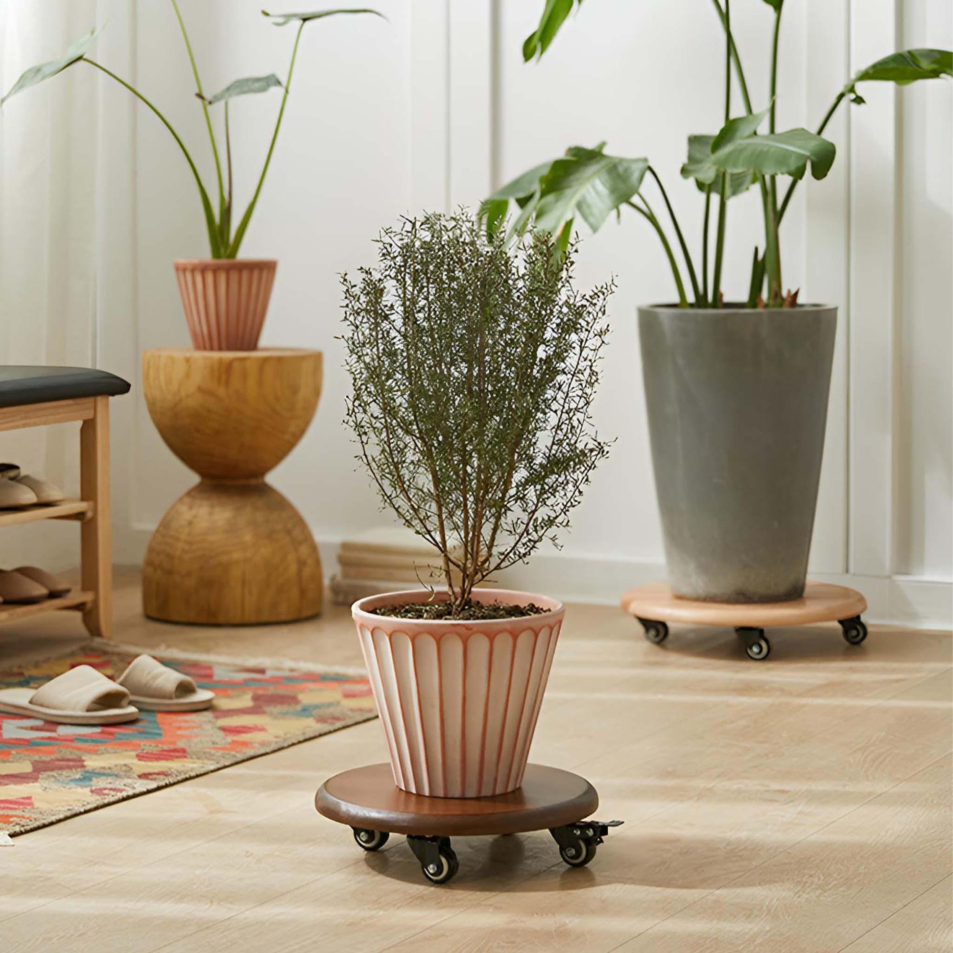 pot plant stand on wheels Premium Heavy Duty Planter Caddy with Wheels