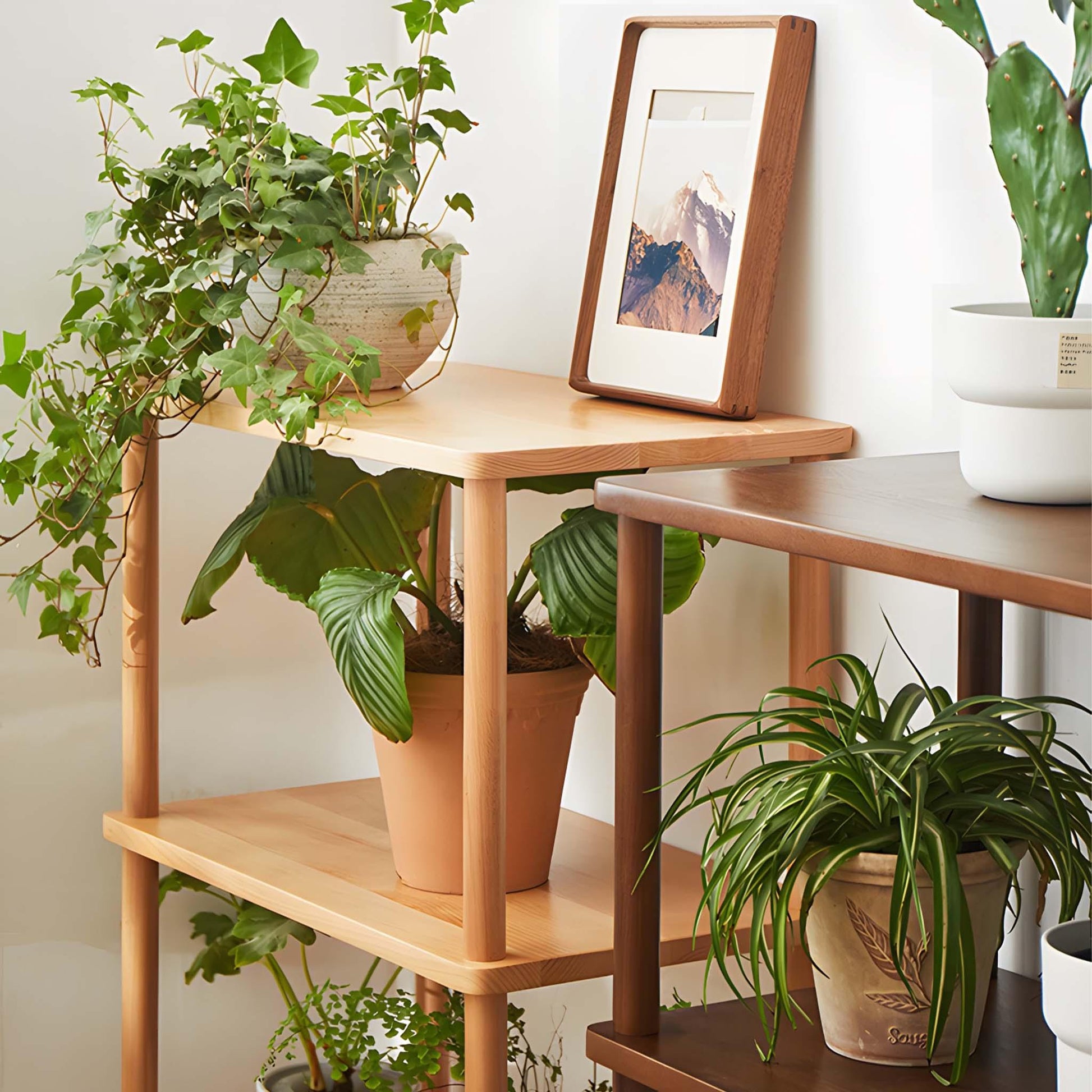 Solid Wood Flower Stand