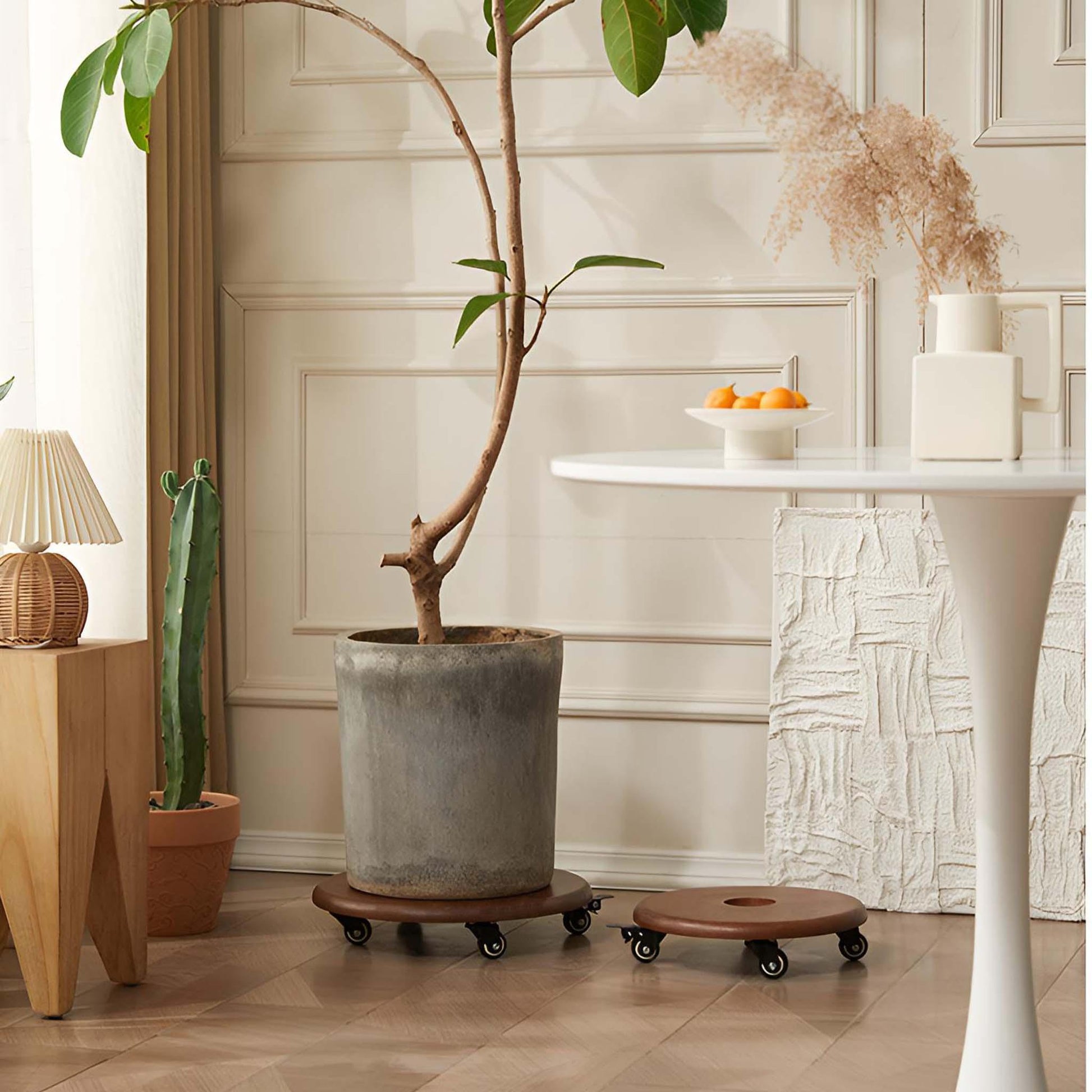 indoor plant caddy Premium Heavy Duty Planter Caddy with Wheels