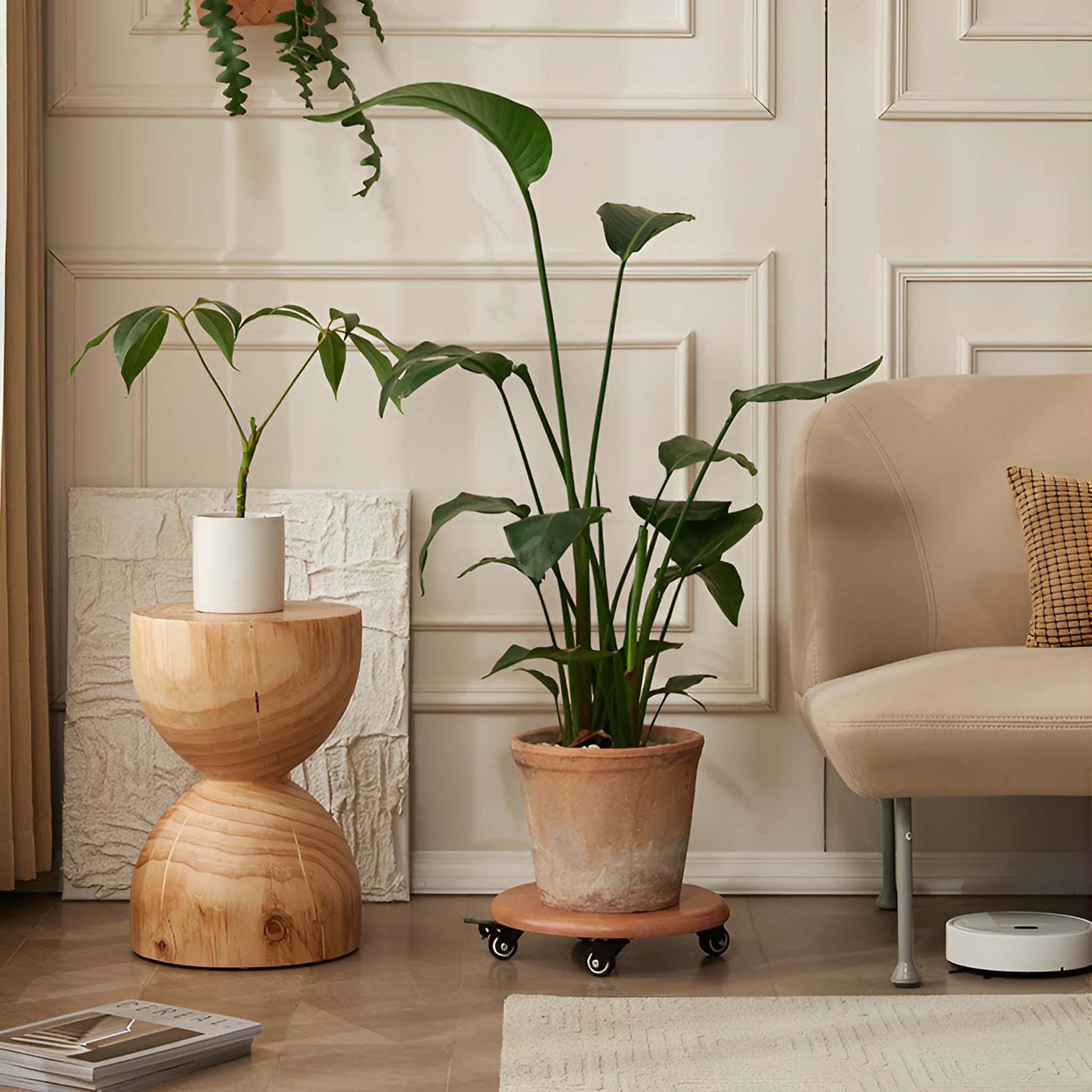 indoor plant caddy Premium Heavy Duty Planter Caddy with Wheels